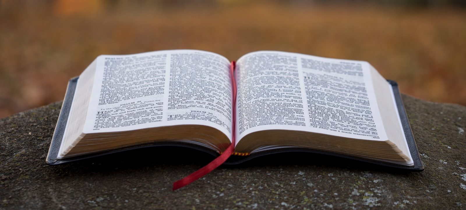 The Purpose of Gathered Worship